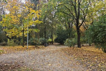 Białystok szykuje się na zmiany klimatu. Miasto zaprasza mieszkańców