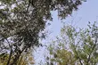Dwa podlaskie rezerwaty z planami ochrony. Mieszkańcy mogą zgłaszać uwagi