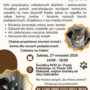 II Stacjonarny Pchli Targ Fundacji Kocia Ostoja