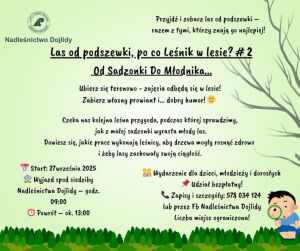 Las od podszewki – po co leśnik w lesie?: Od sadzonki do młodnika