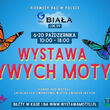 Wystawa żywych motyli w Białymstoku - CH Biała