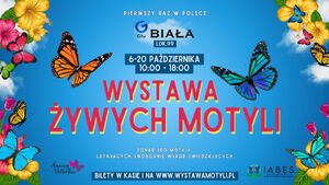 Wystawa żywych motyli w Białymstoku - CH Biała