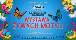 Wystawa żywych motyli w Białymstoku - CH Biała