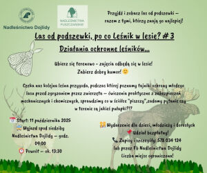 Las od Podszewski, Po co leśnik w lesie #3