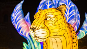 Garden of Lights - Białystok Park Dinozaurów
