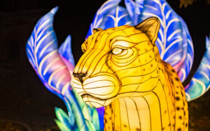 Garden of Lights - Białystok Park Dinozaurów