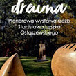 Wystawa Sztuka Drewna