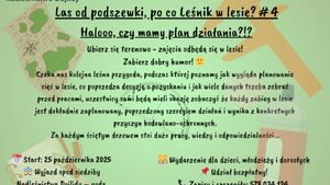 Las od Podszewski, Po co leśnik w lesie #4