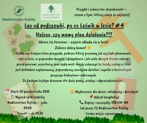 Las od Podszewski, Po co leśnik w lesie #4