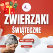 Warsztaty ze zwierzętami - przytul alpakę