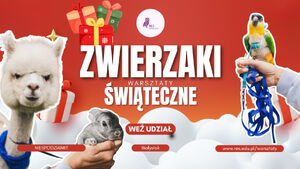 Warsztaty ze zwierzętami - przytul alpakę