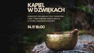 Kąpiel w dźwiękach │ Koncert gongów i mis tybetańsko-nepalskich z Aliną Anandą K