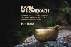 Kąpiel w dźwiękach │ Koncert gongów i mis tybetańsko-nepalskich z Aliną Anandą K