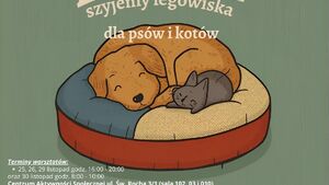 Drugie życie rzeczy - szyjemy legowiska z recyklingu dla zwierząt ze schroniska 
