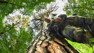 Paweł Średziński: A dzisiaj znów wejdziemy do puszczy