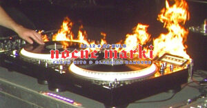 Nocne Marki | Fresh vs.Classics Party | Bulb