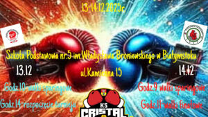 XVII Mikołajkowy Turniej w Boksie Olimpijskim