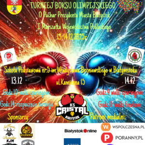 XVII Mikołajkowy Turniej w Boksie Olimpijskim