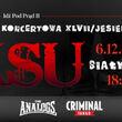 KSU + The Analogs + Criminal Tango