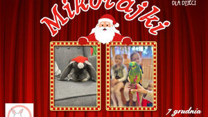 Mikołajki jak z bajki w kinie Helios Alfa – świąteczne warsztaty z żywymi zwierzętami