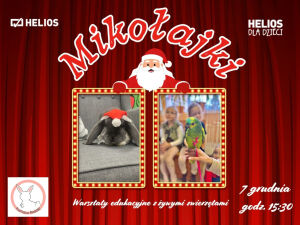 Mikołajki jak z bajki w kinie Helios Alfa – świąteczne warsztaty z żywymi zwierzętami