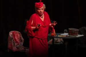 Anna Seniuk - monodram "Księga ziół i nie tylko"