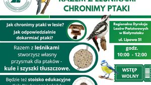 Razem z leśnikami chronimy ptaki