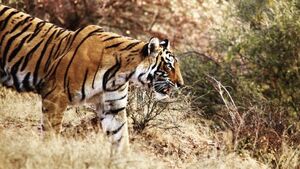 Ciekawi Świata: Marta Sawicka-Danielak