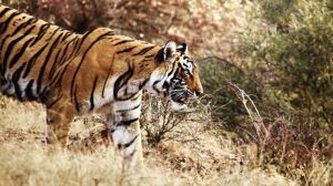 Ciekawi Świata: Marta Sawicka-Danielak