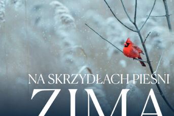Koncert Na Skrzydłach Pieśni - Zima