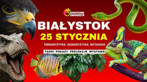 Egzotyczne Zwierzęta - Terrarystyka, Akwarystyka, Botanika