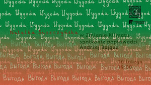 Spotkanie z Natalią Suszczyńską, autorką książki „Wygoda”