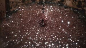  Katya Libkind. „Rozpaczać - patrzeć