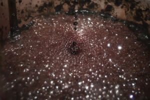  Katya Libkind. „Rozpaczać - patrzeć