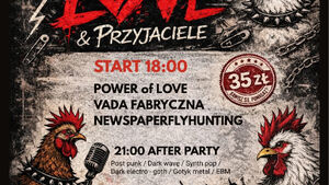 Koncert charytatywny: Power of Love i Przyjaciele: cała kasa na zwierzaki 