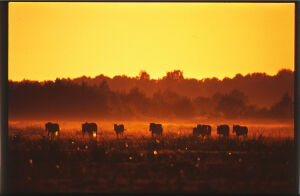 Czwartki u Wiktora - gość specjalny: Tadeusz Twarowski