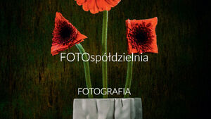 Tożsamość - wystawa fotograficzna grupy FOTOspółdzielnia