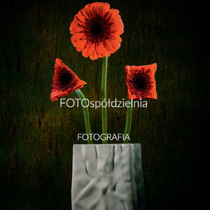 Tożsamość - wystawa fotograficzna grupy FOTOspółdzielnia