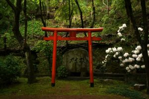 Ciekawi Świata: Joanna Murzydło | Shikoku Henro – szlakiem 88 świątyń na wyspie Shikoku w Japonii