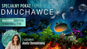 Dmuchawce - pokaz przyjazny sensorycznie z Dzikoprzygodami