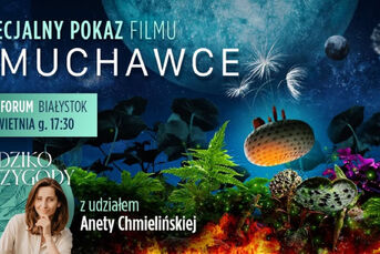 Dmuchawce - pokaz przyjazny sensorycznie z Dzikoprzygodami