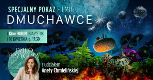Dmuchawce - pokaz przyjazny sensorycznie z Dzikoprzygodami