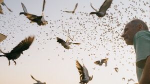 Sposoby widzenia: Bliskość | wystawa pokonkursowa