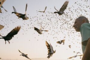 Sposoby widzenia: Bliskość | wernisaż wystawy pokonkursowej