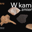 Wernisaż: W Kamień Zmienione | 70-lecie Działu Archeologii Muzeum Podlaskiego