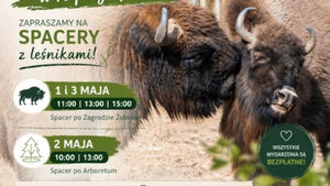 Majówka w Kopnej Górze - spacer z leśnikami