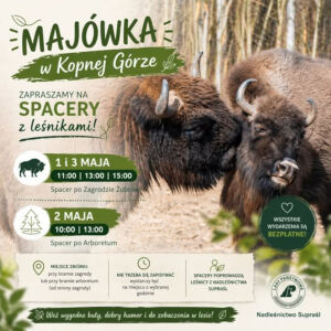 Majówka w Kopnej Górze - spacer z leśnikami