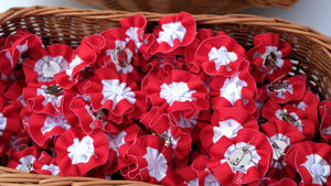 3 Maja z Podlaskim Instytutem Kultury