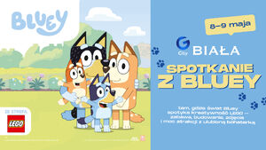 Weekend pełen kreatywnej zabawy z Bluey i LEGO®