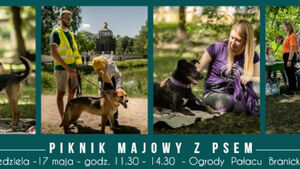 Piknik Majowy z Psem
